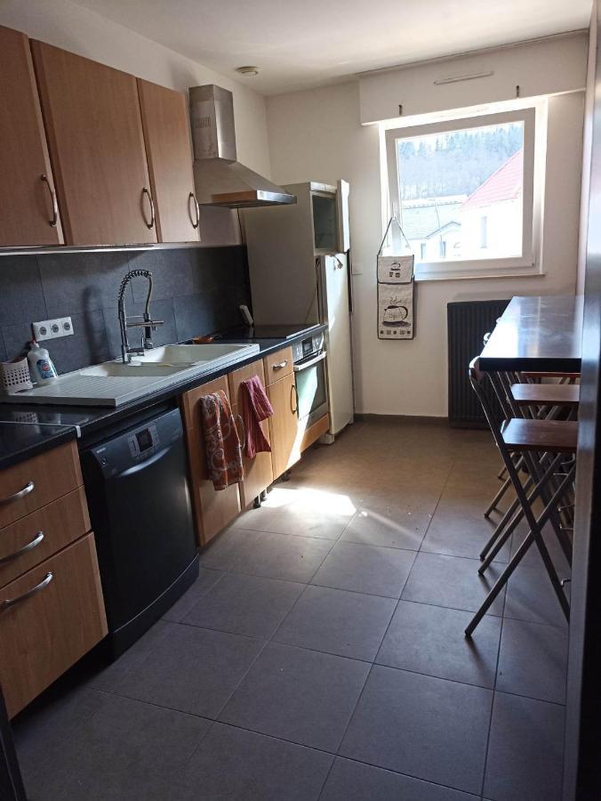 Appartement Gauche Avec Balcon Hargarten-aux-Mines エクステリア 写真